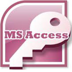 Kansas City MO Microsoft Access database programmer